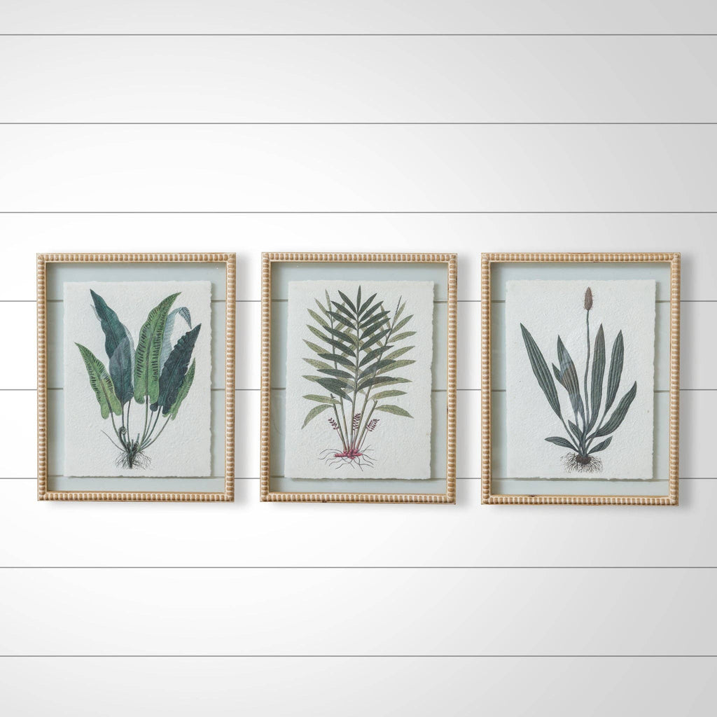 Beaded Frames - Fern Prints (PK/3 AST)