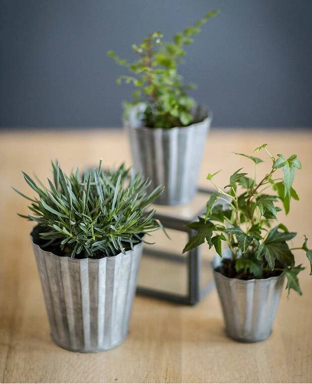 Set Of 3 Tin Pots
