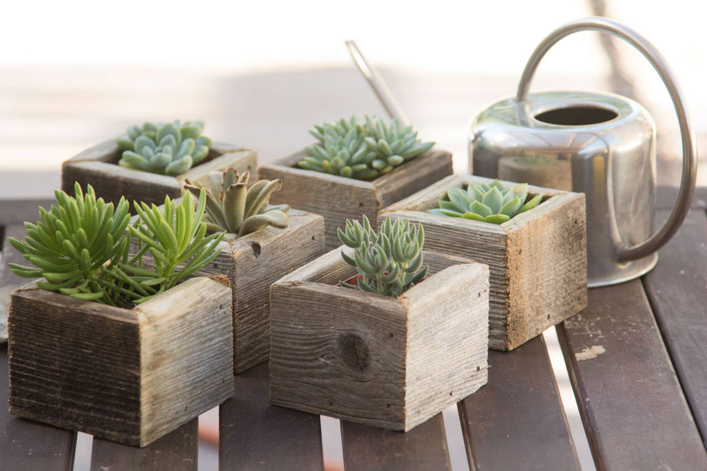 Reclaimed Wood Mini Square Planters / Favor Boxes