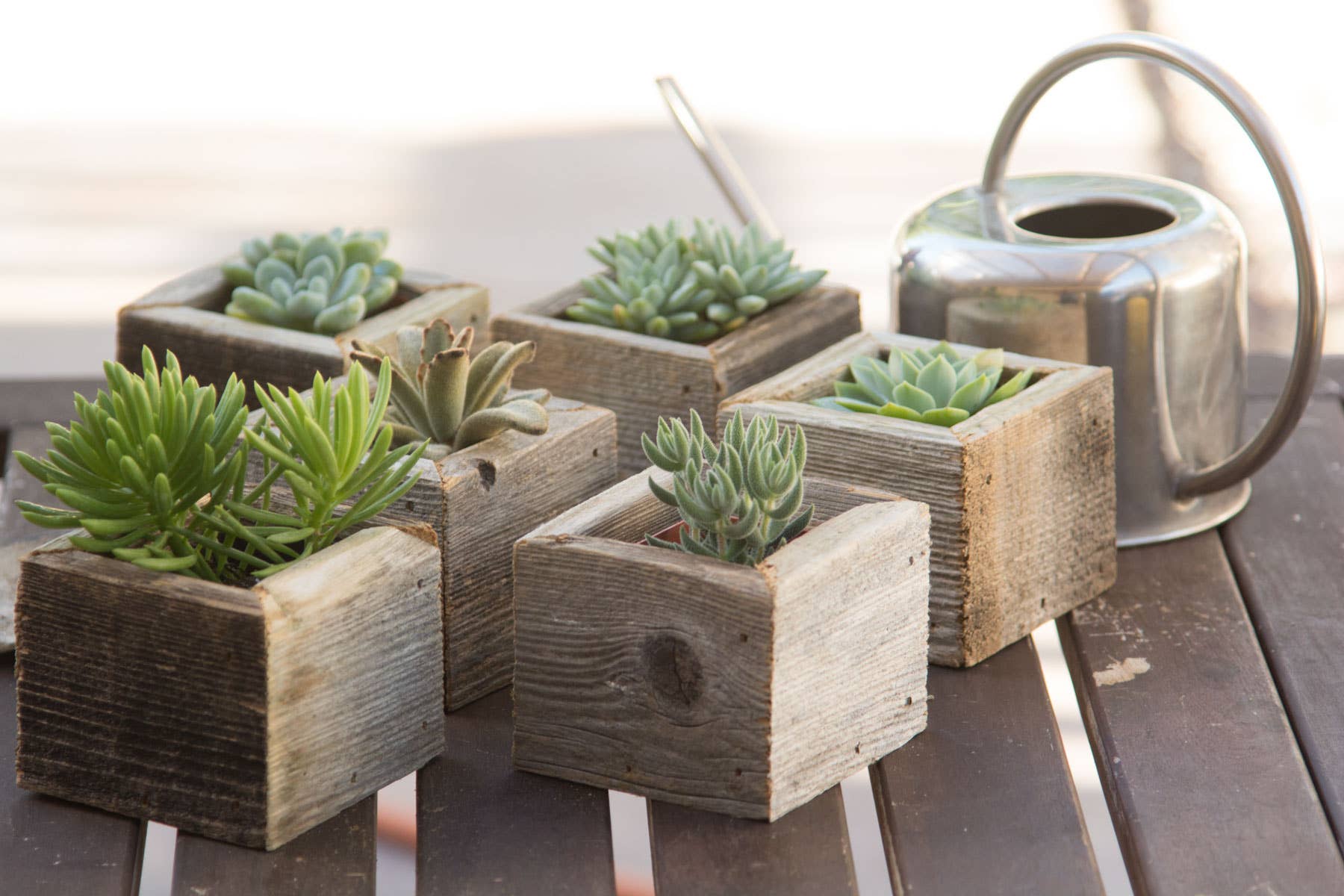 Reclaimed Wood Mini Square Planters / Favor Boxes