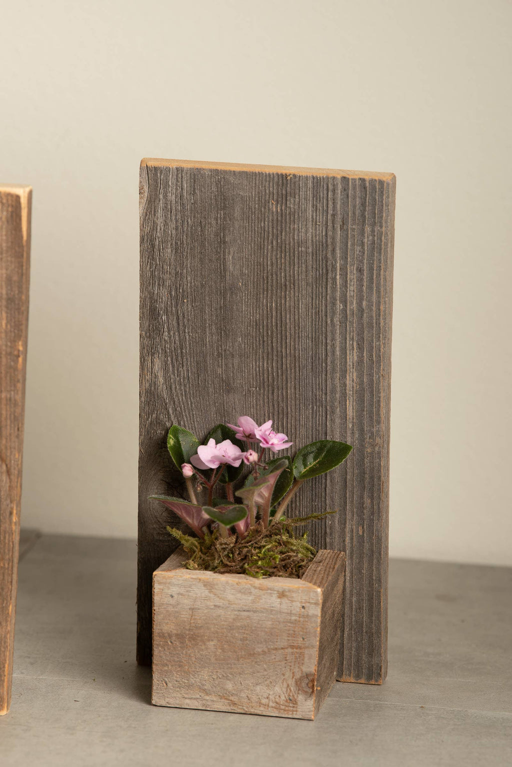 Reclaimed Wood Wall Mini Planter