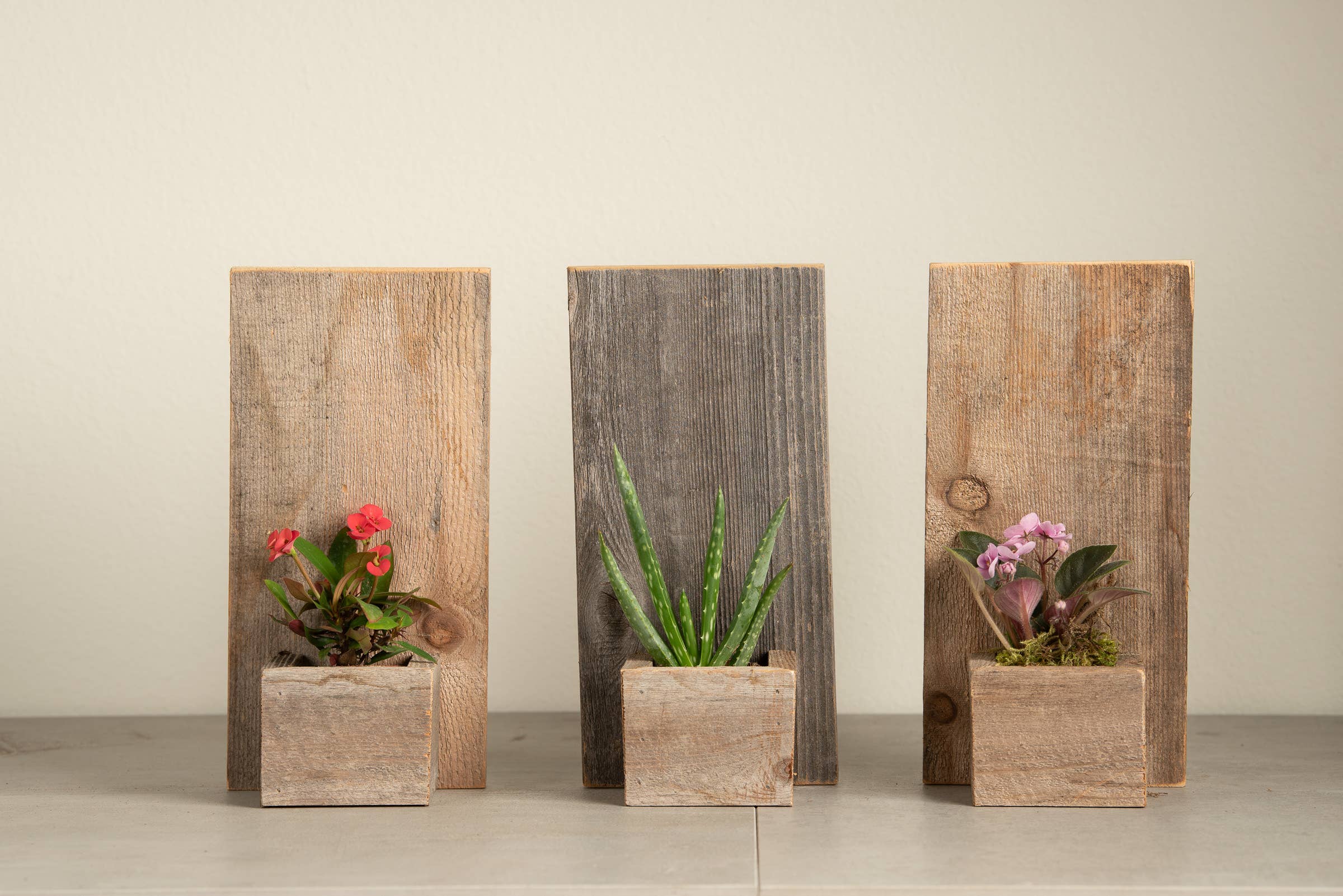 Reclaimed Wood Wall Mini Planter