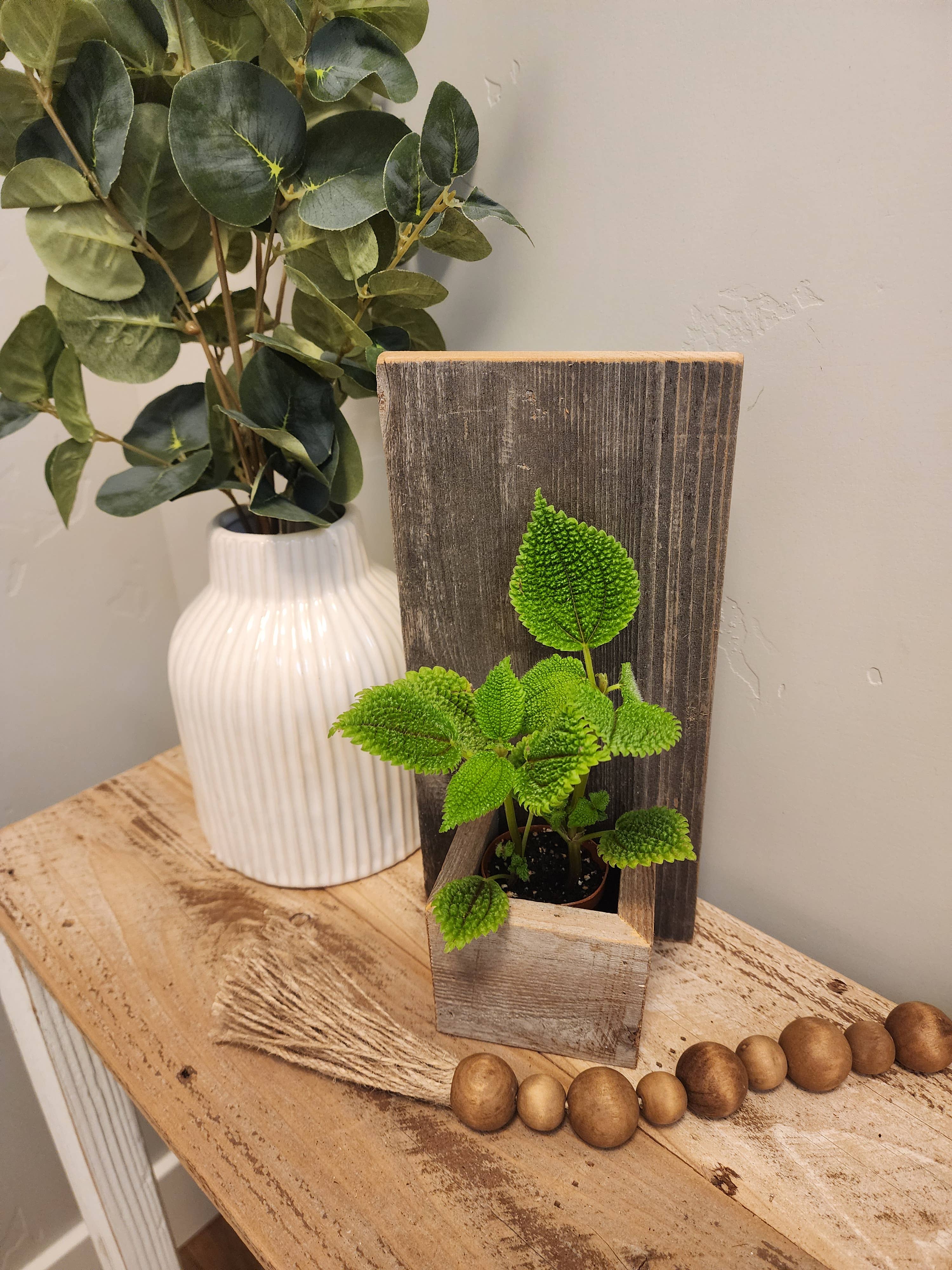 Reclaimed Wood Wall Mini Planter