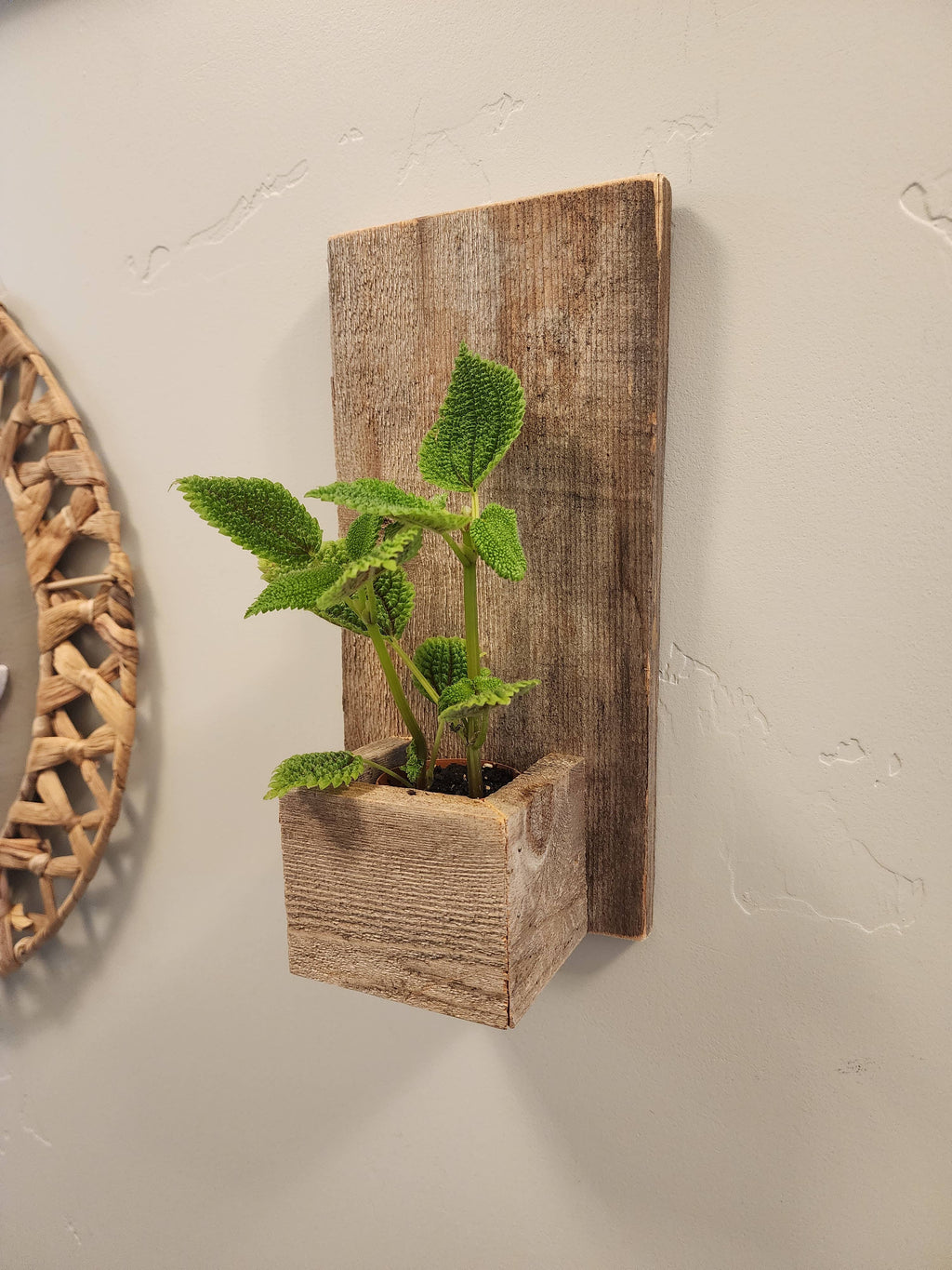 Reclaimed Wood Wall Mini Planter