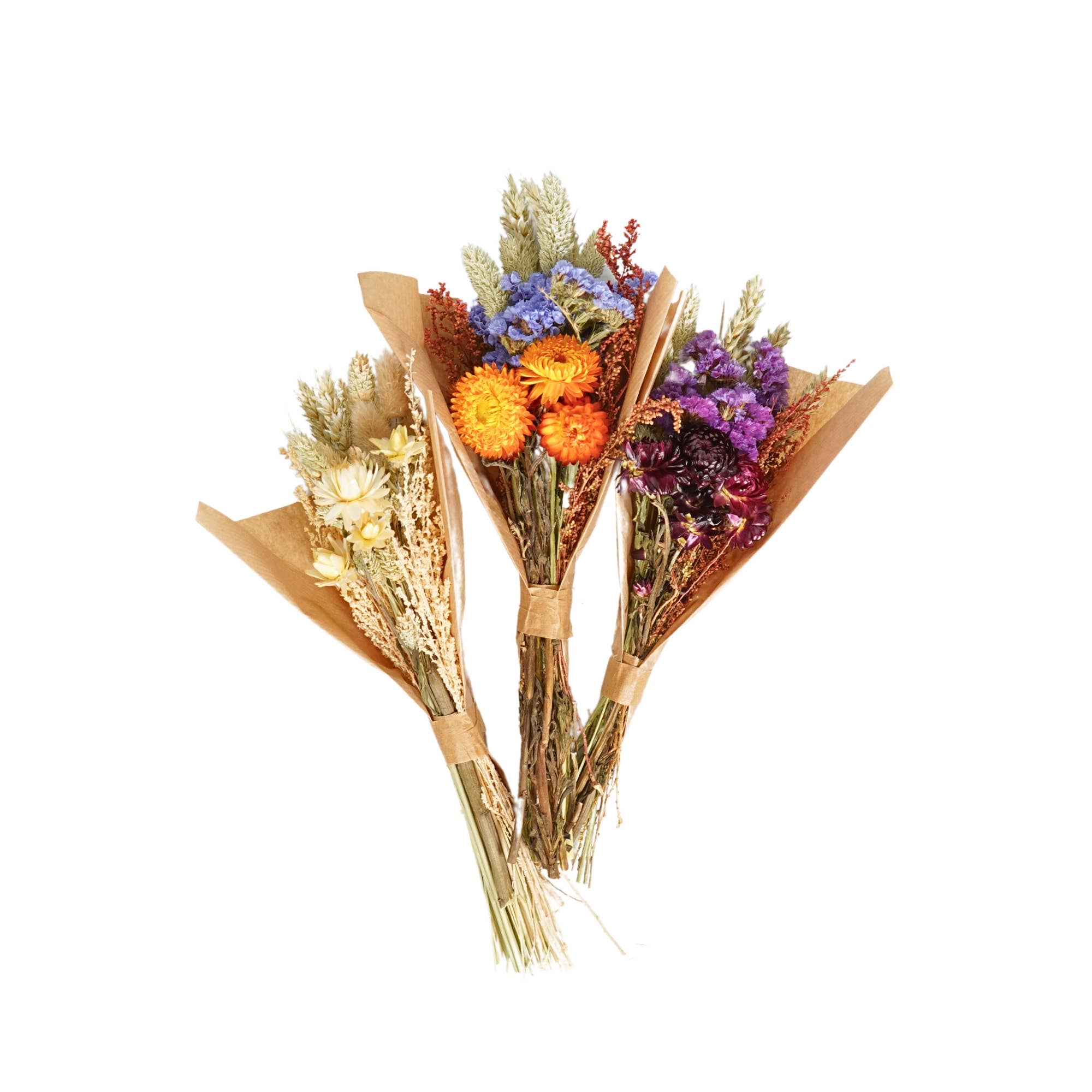 Dried Flowers - Field Bouquet Mini Mix
