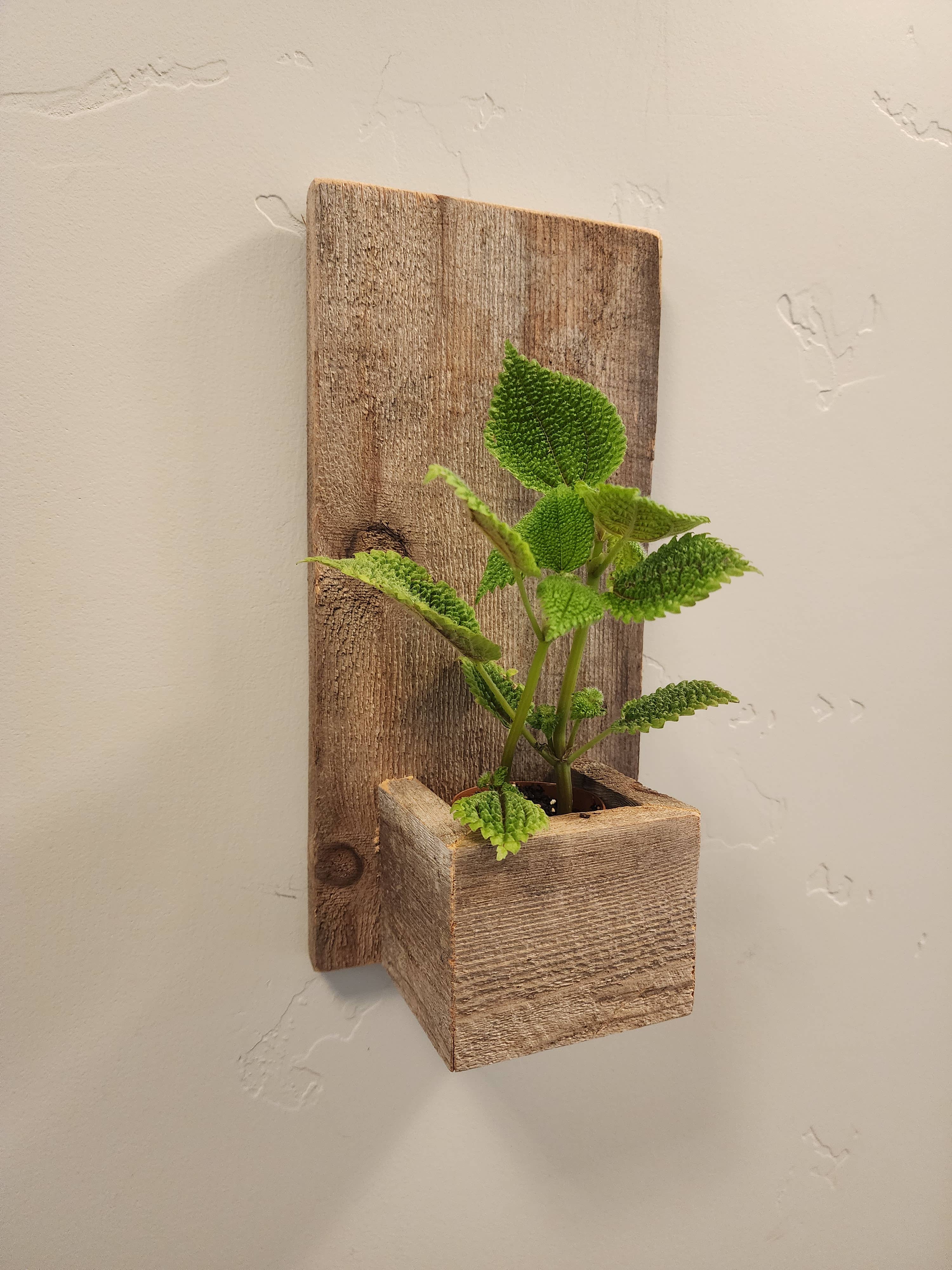 Reclaimed Wood Wall Mini Planter