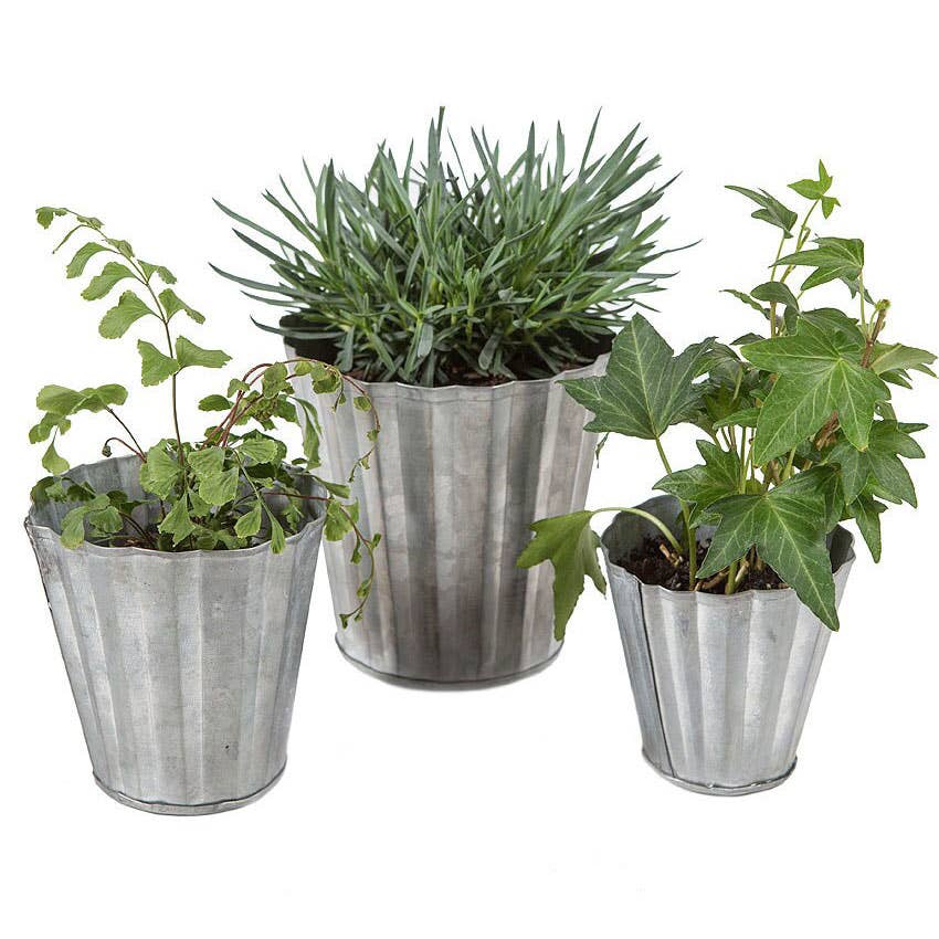 Set Of 3 Tin Pots