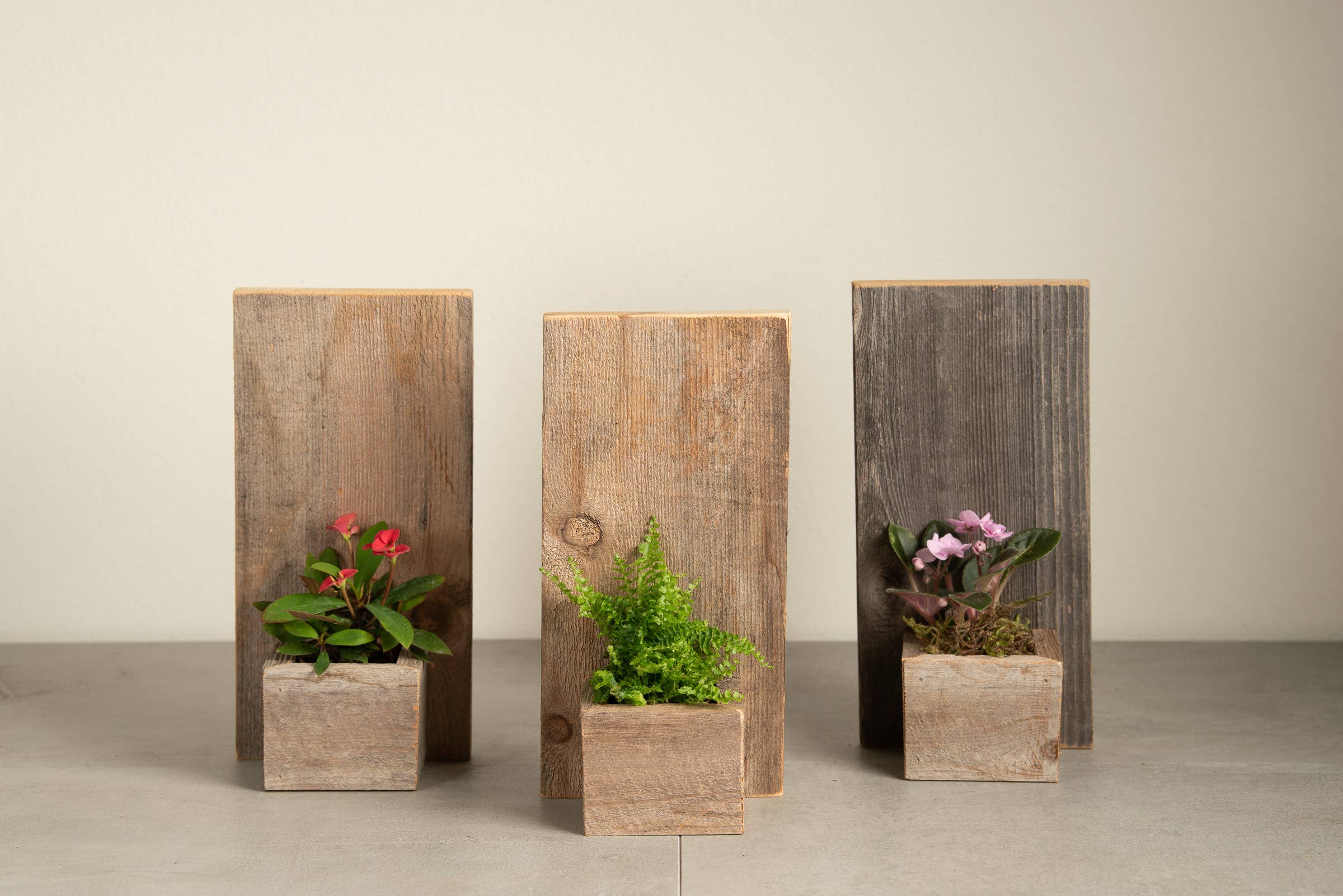 Reclaimed Wood Wall Mini Planter